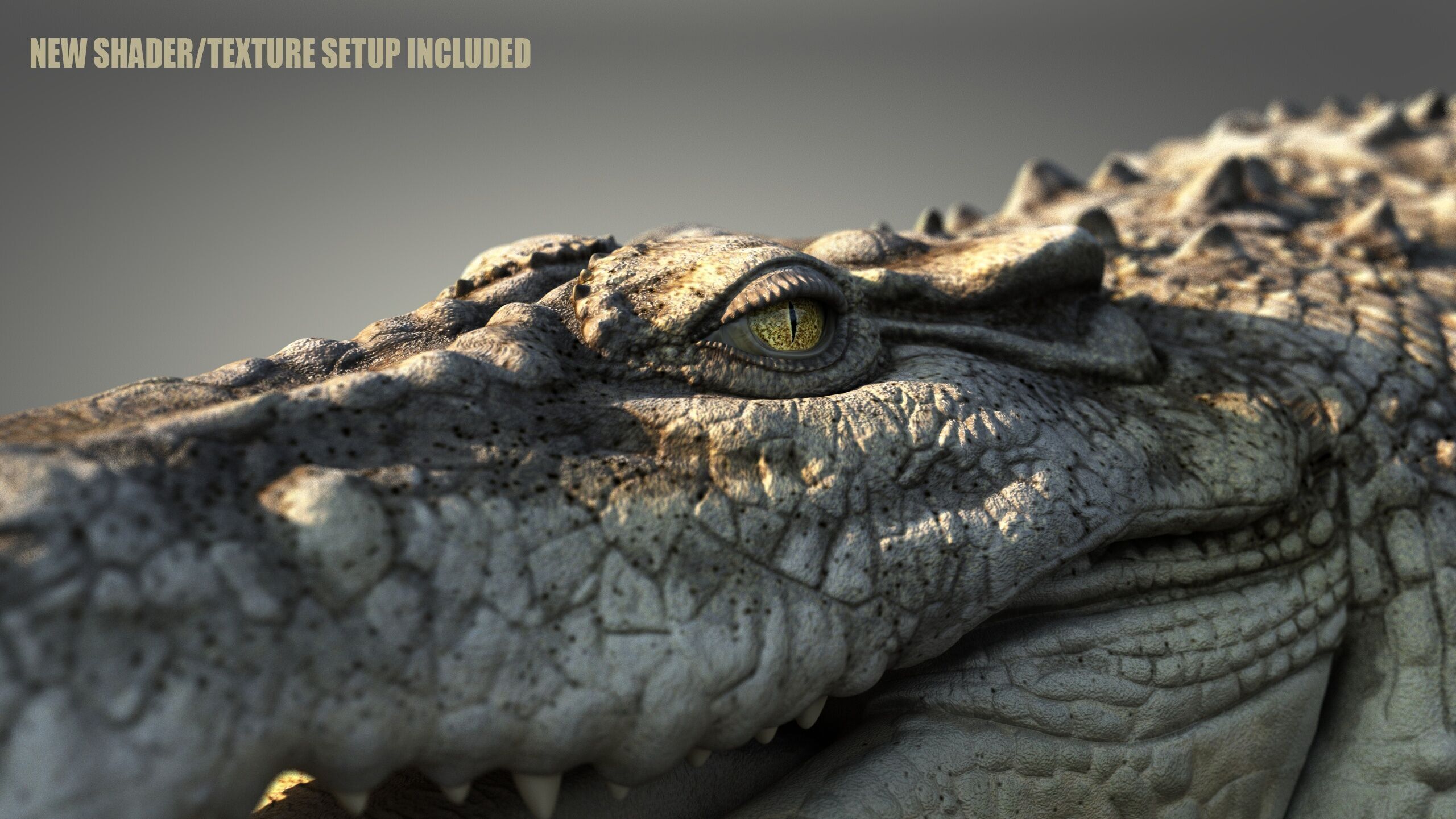 Crocodile RIG 3D model_20