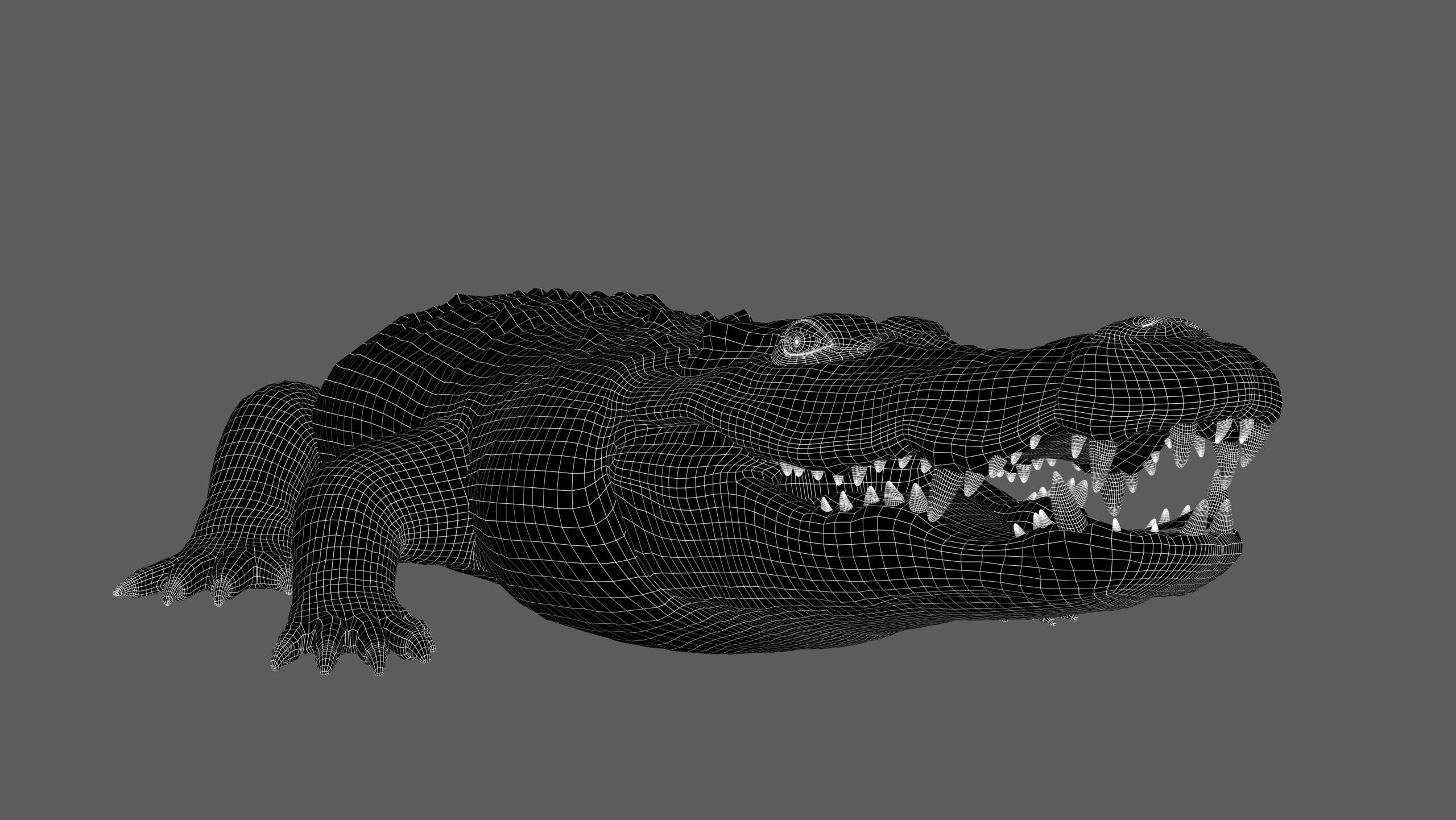 Crocodile RIG 3D model_26