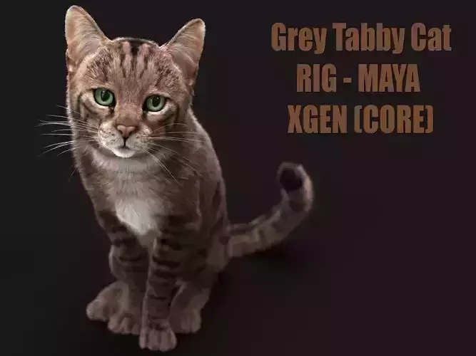 Cat Grey Tabby RIG  XGEN version