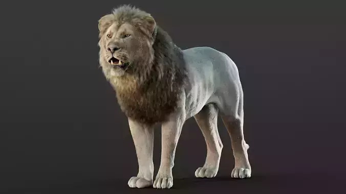 Lion 2025  RIG Maya -  Xgen-Core