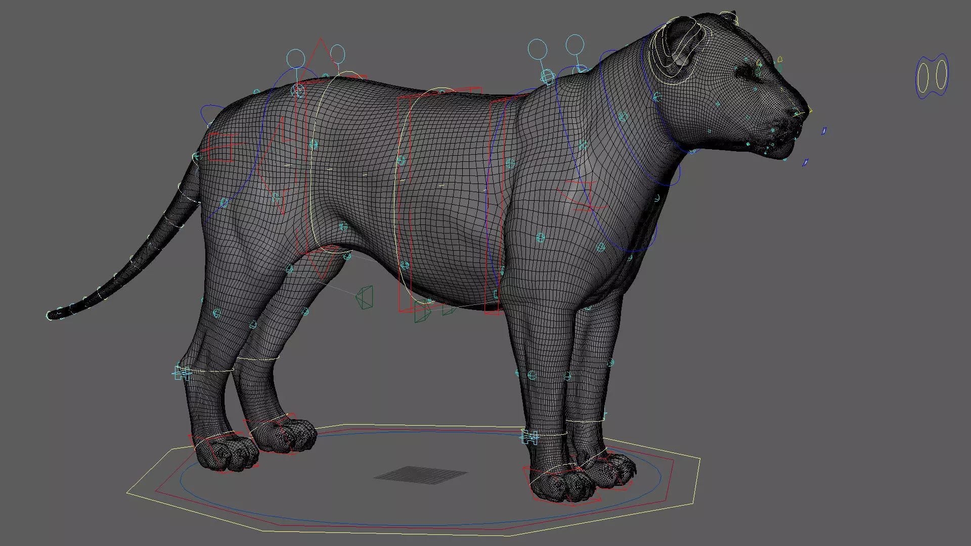Lioness 2025 RIG Maya - Xgen-Core 3D model_22