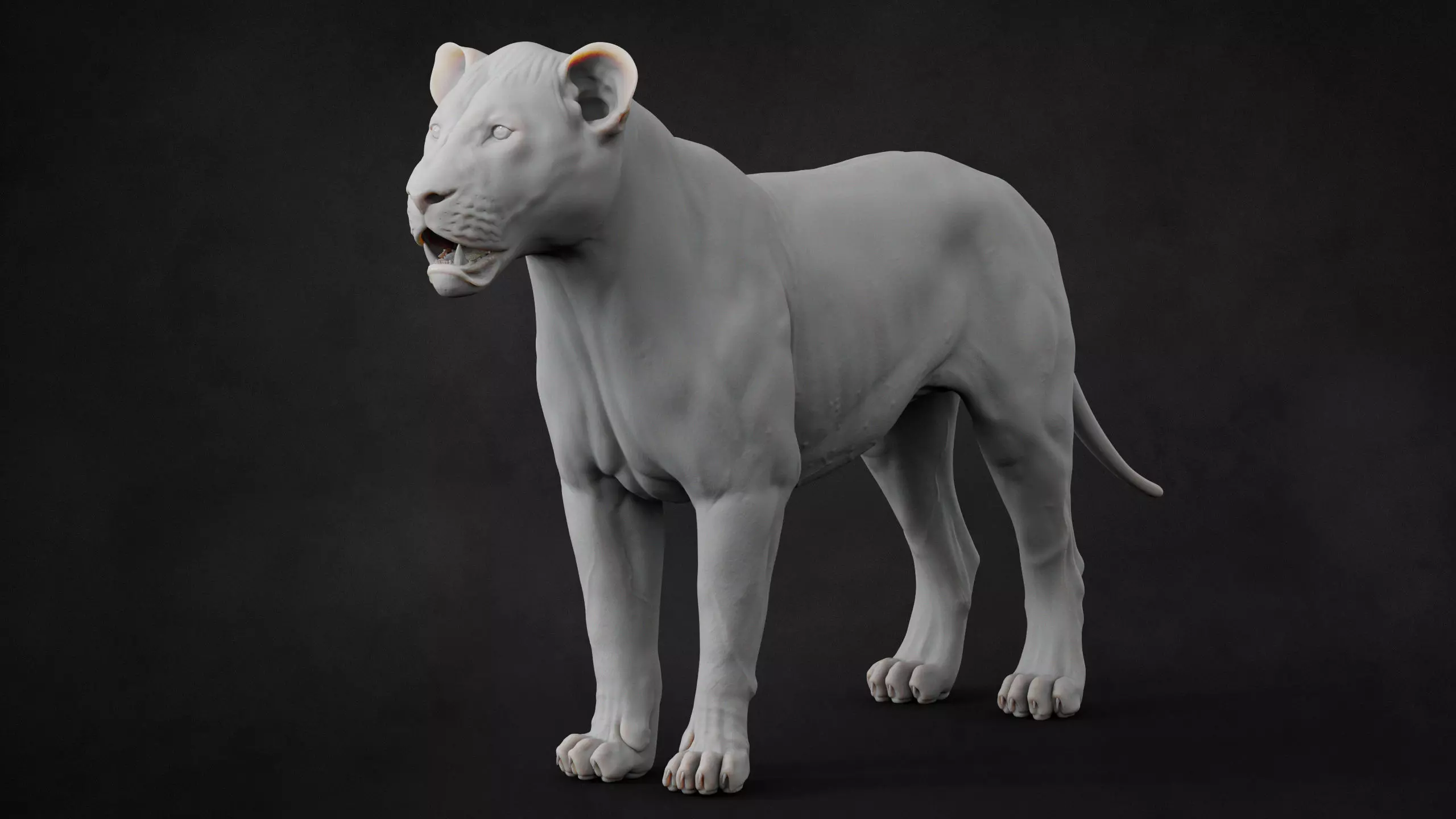 Lioness 2025 RIG Maya - Xgen-Core 3D model_19