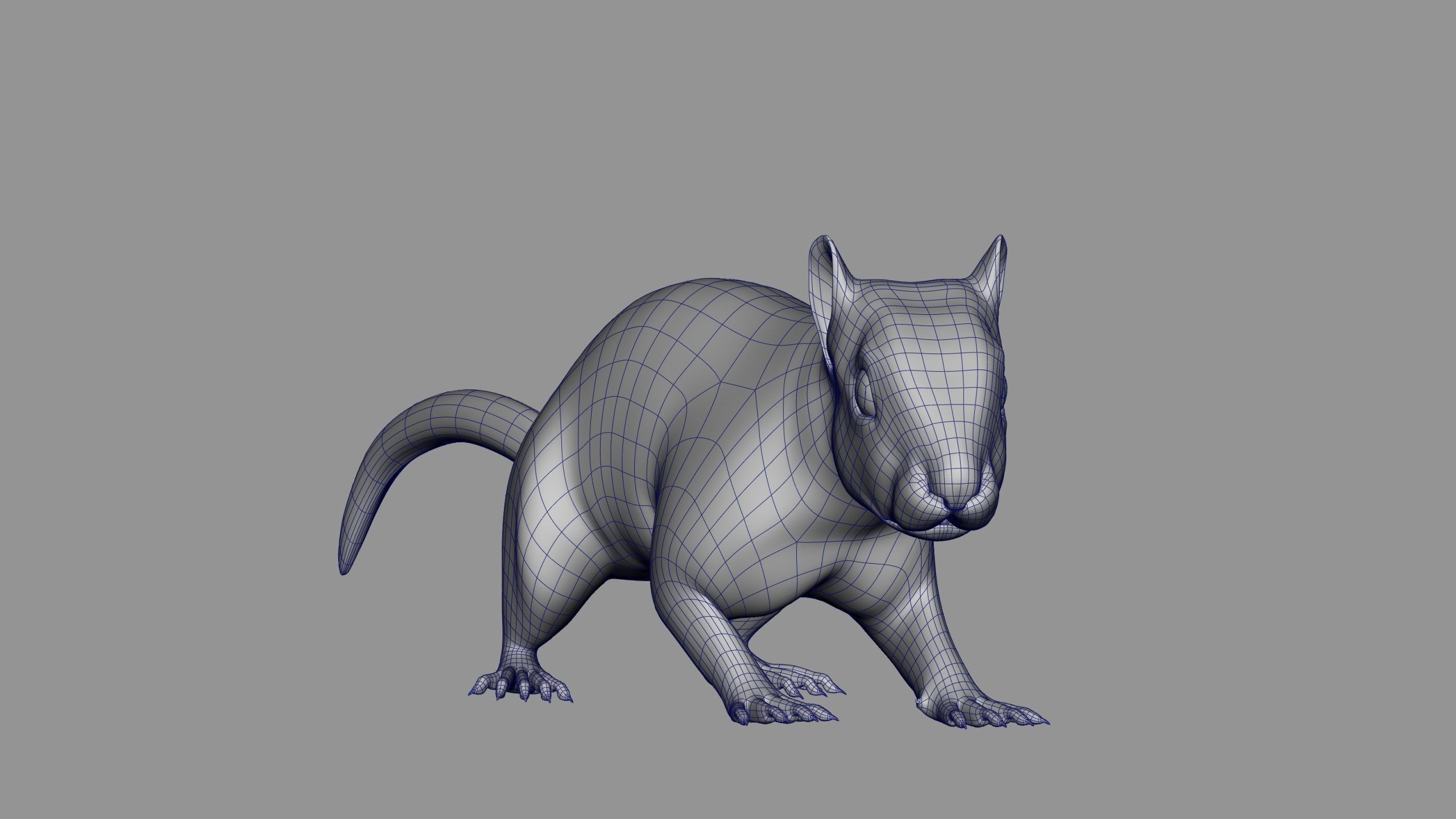 SQUIRREL ANIMATED XGEN CORE 3D model_17