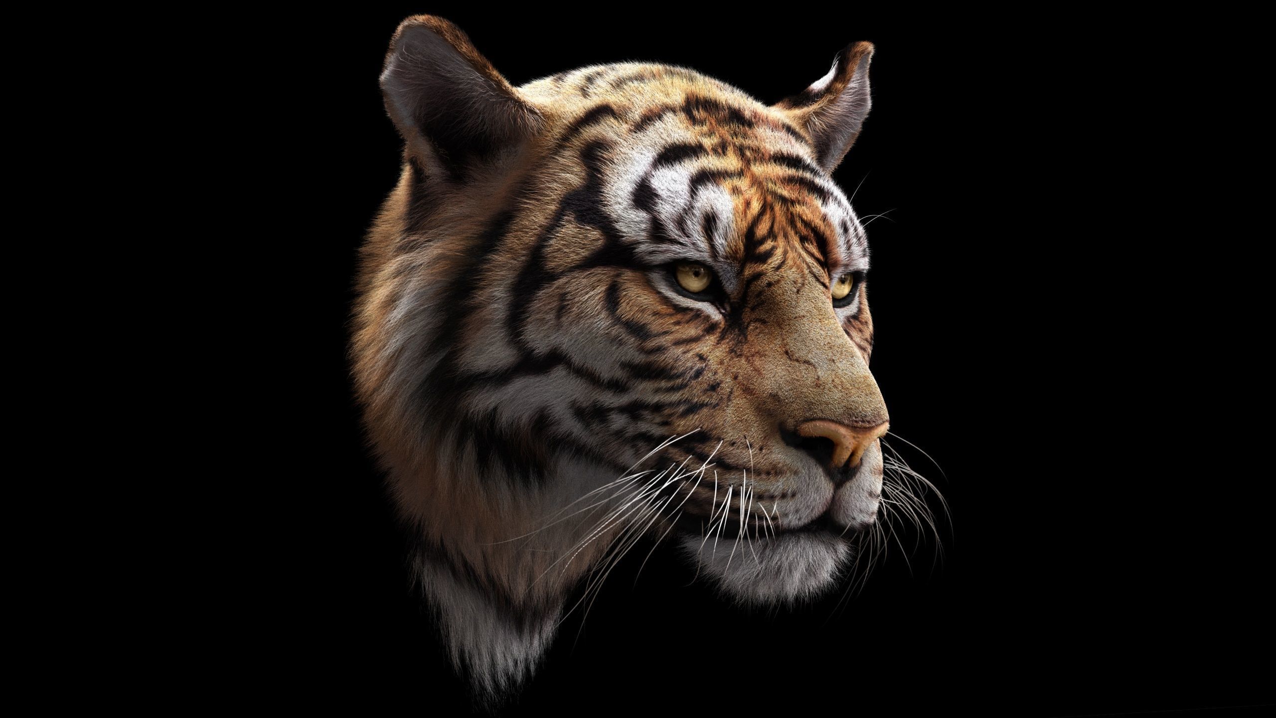 Bengal Tiger ANIMATED Yeti 3D model_5
