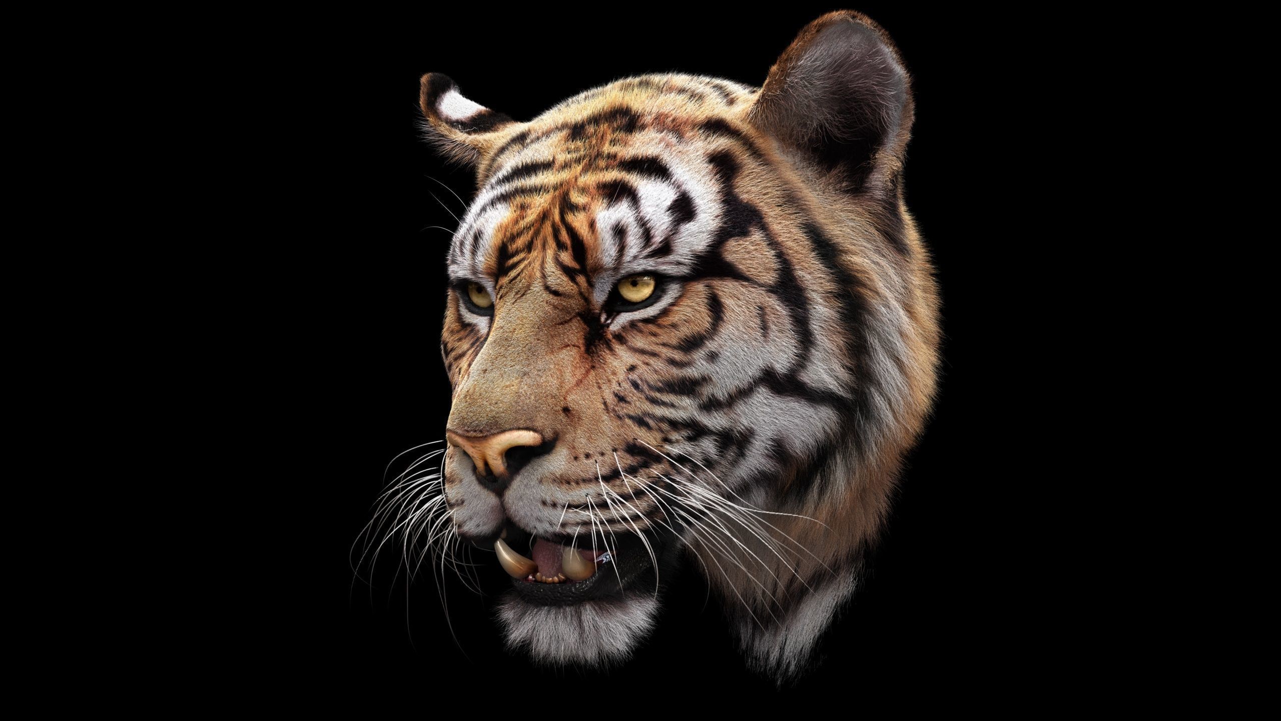 Bengal Tiger ANIMATED Yeti 3D model_7
