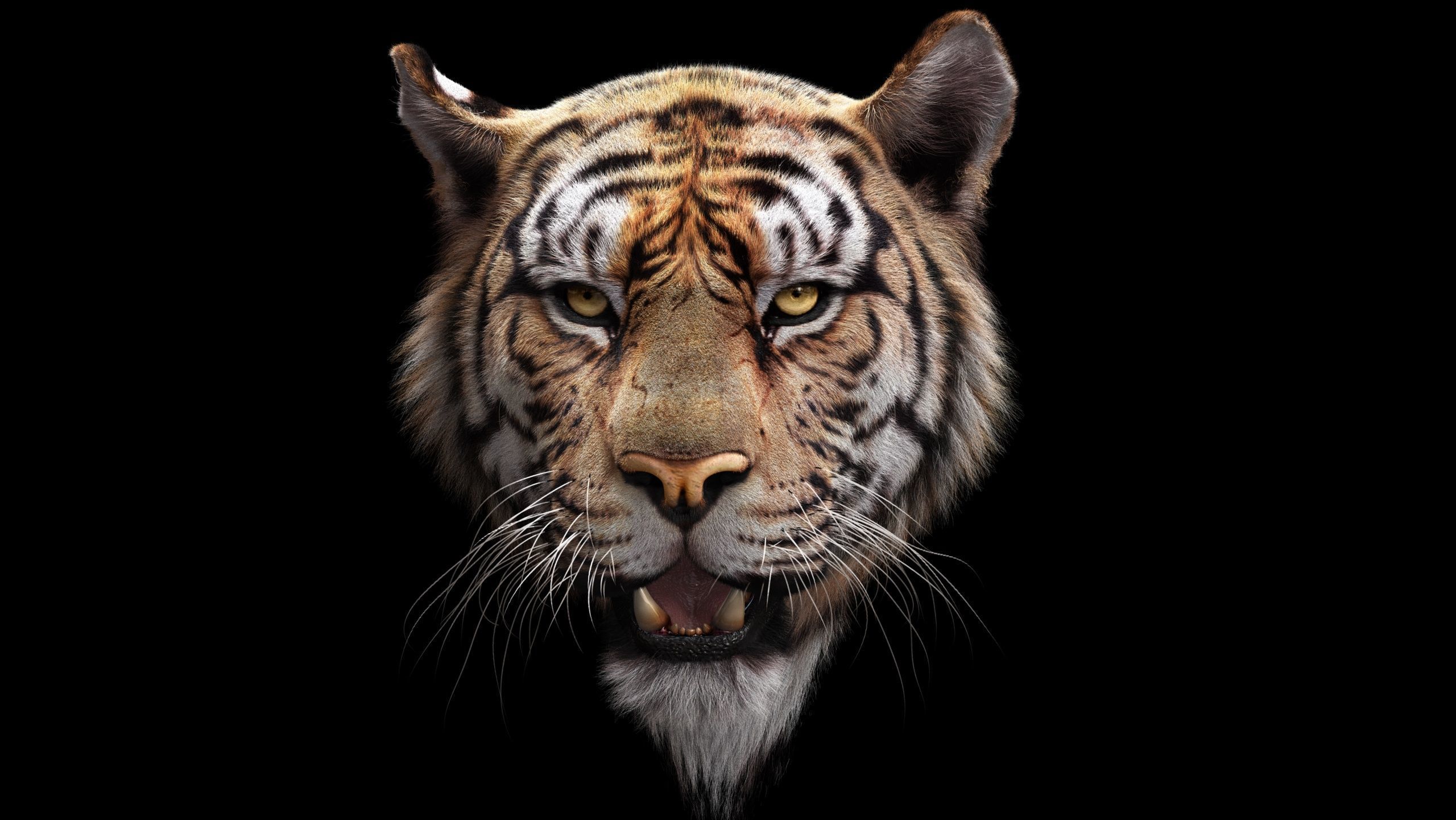 Bengal Tiger ANIMATED Yeti 3D model_4