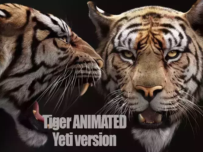 Bengal Tiger ANIMATED Yeti