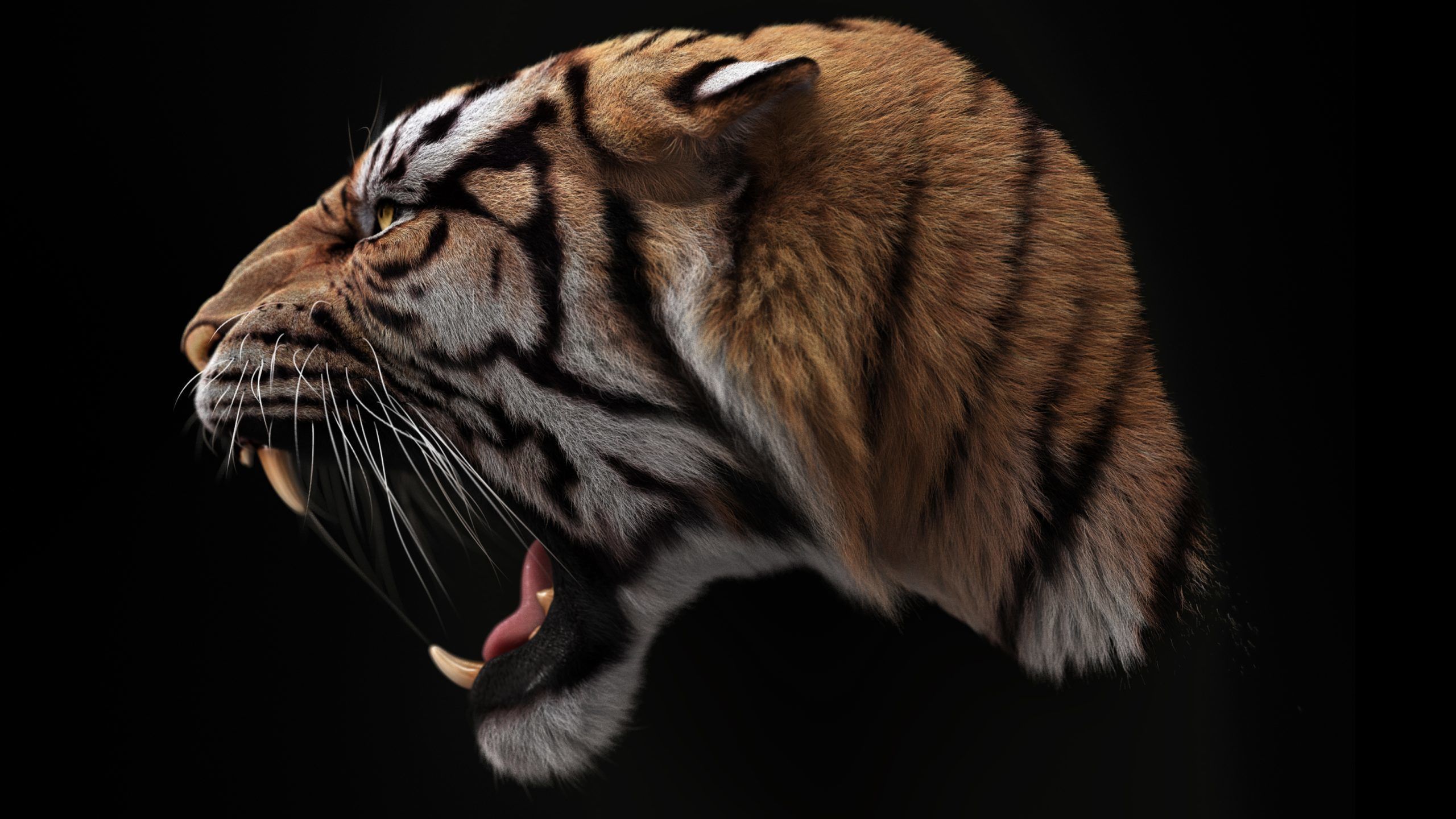 Bengal Tiger ANIMATED Yeti 3D model_9