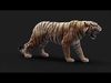Bengal Tiger ANIMATED Yeti 3D model_1