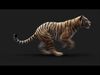 Bengal Tiger ANIMATED Yeti 3D model_2
