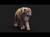 Bengal Tiger ANIMATED Yeti 3D model_3