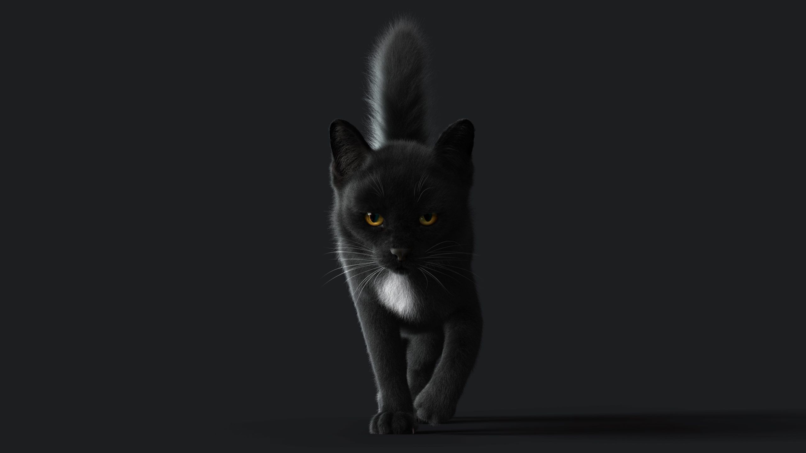Cat Black RIG YETI version 3D model_1