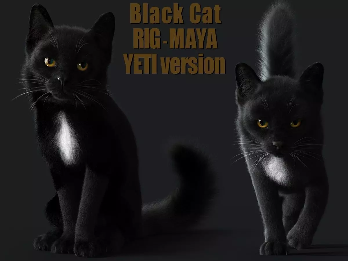 Cat Black RIG YETI version 3D model_0