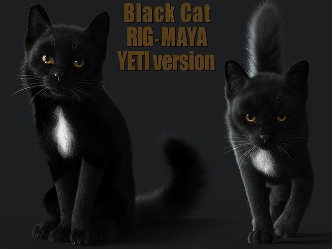 Cat Black RIG YETI version 3D model