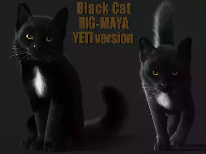Cat Black RIG YETI version 3D model