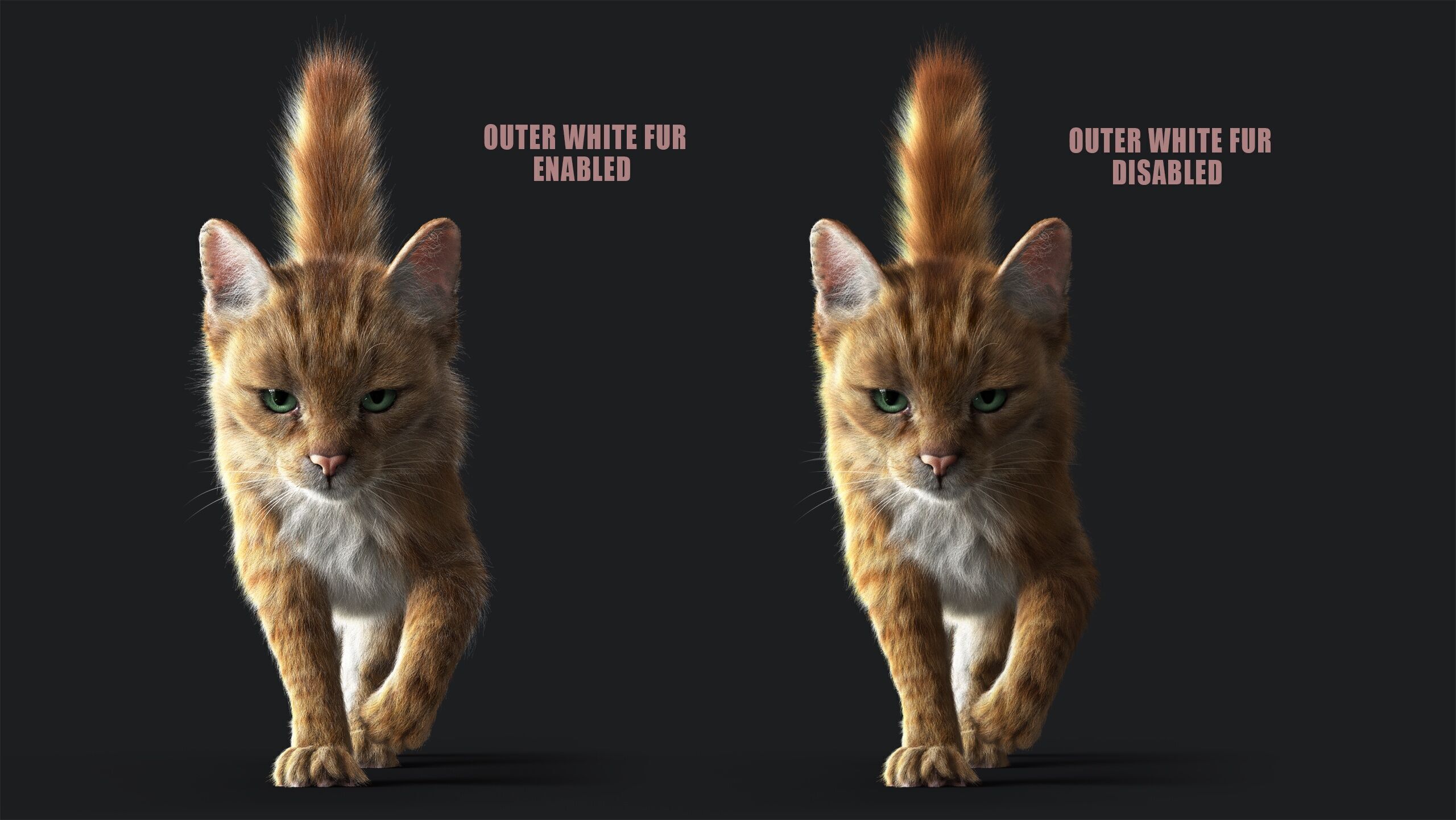 Cat Orange Tabby RIG  YETI version 3D model_9