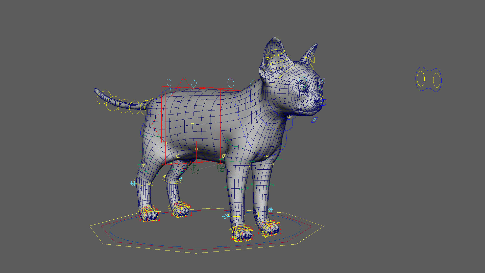 Cat Grey Tabby RIG  YETI version 3D model_19