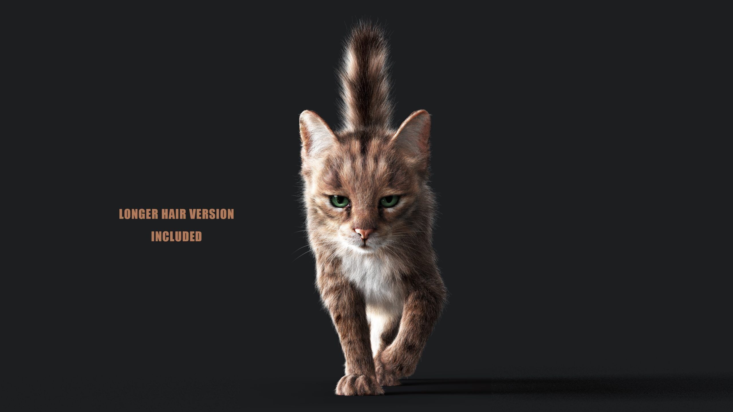 Cat Grey Tabby RIG  YETI version 3D model_1