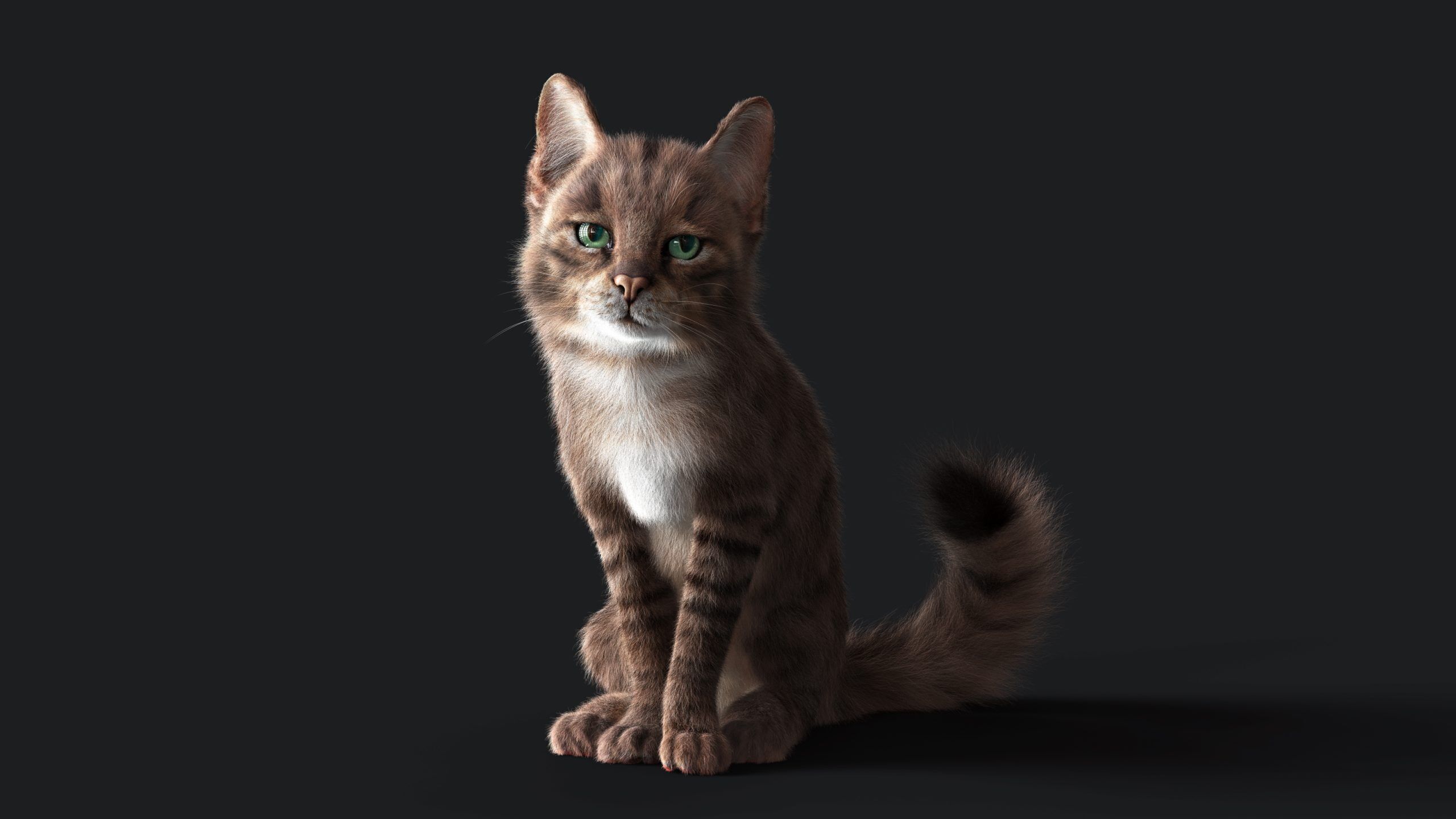 Cat Grey Tabby RIG  YETI version 3D model_7