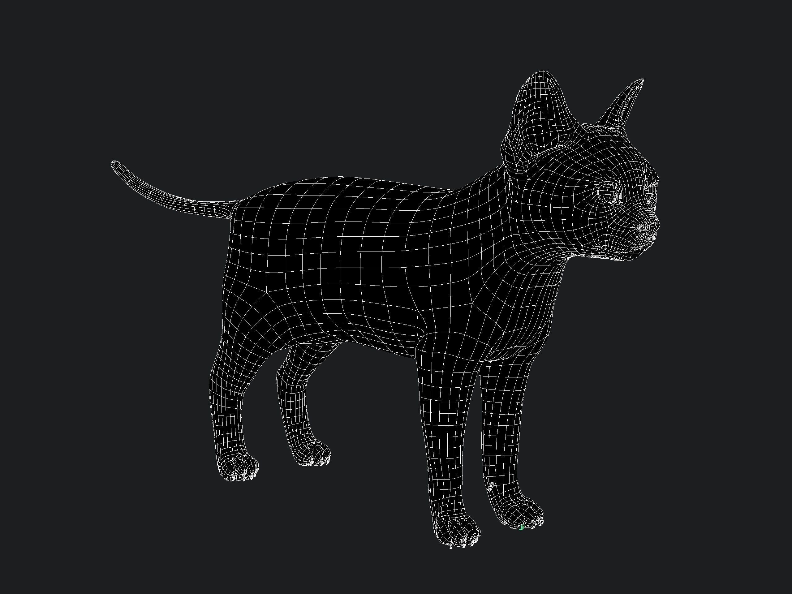 Cat Grey Tabby RIG  YETI version 3D model_16