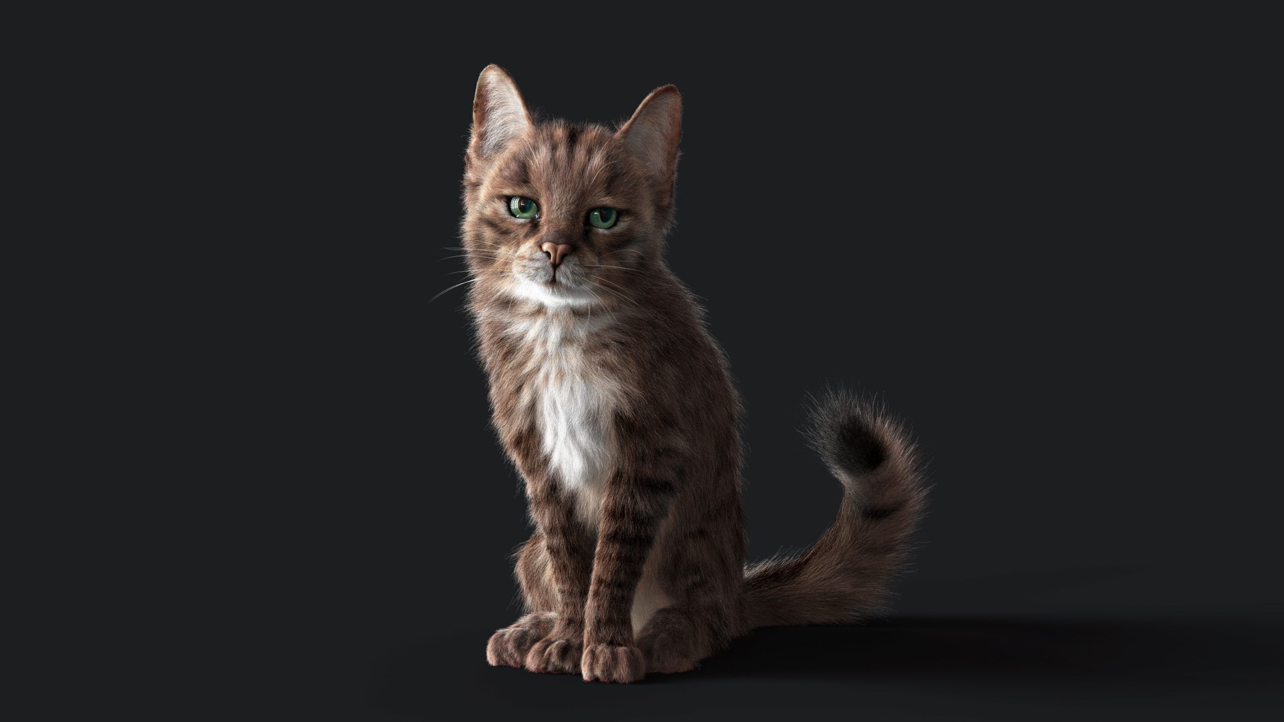 Cat Grey Tabby RIG  YETI version 3D model_6