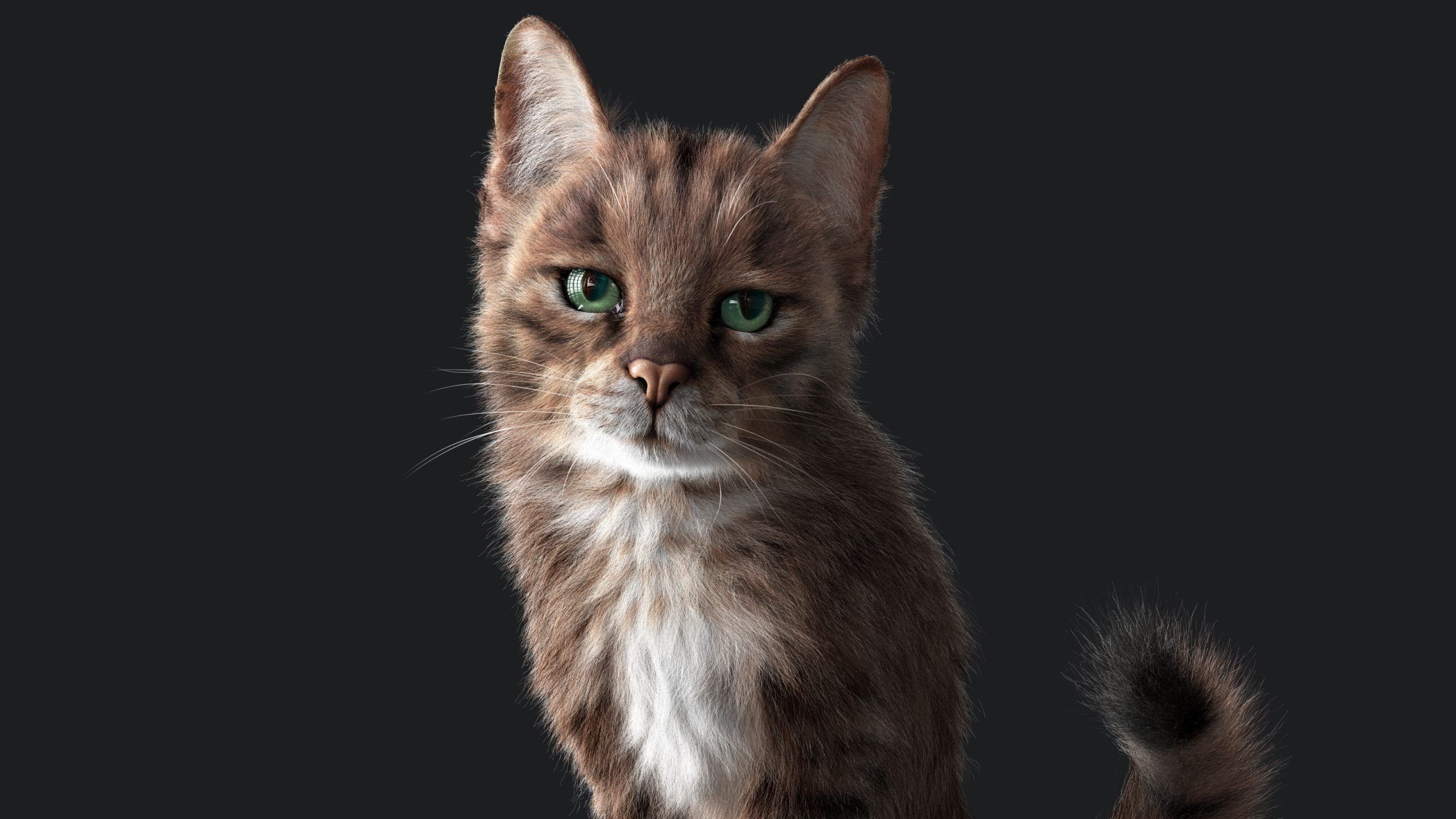 Cat Grey Tabby RIG  YETI version 3D model_10