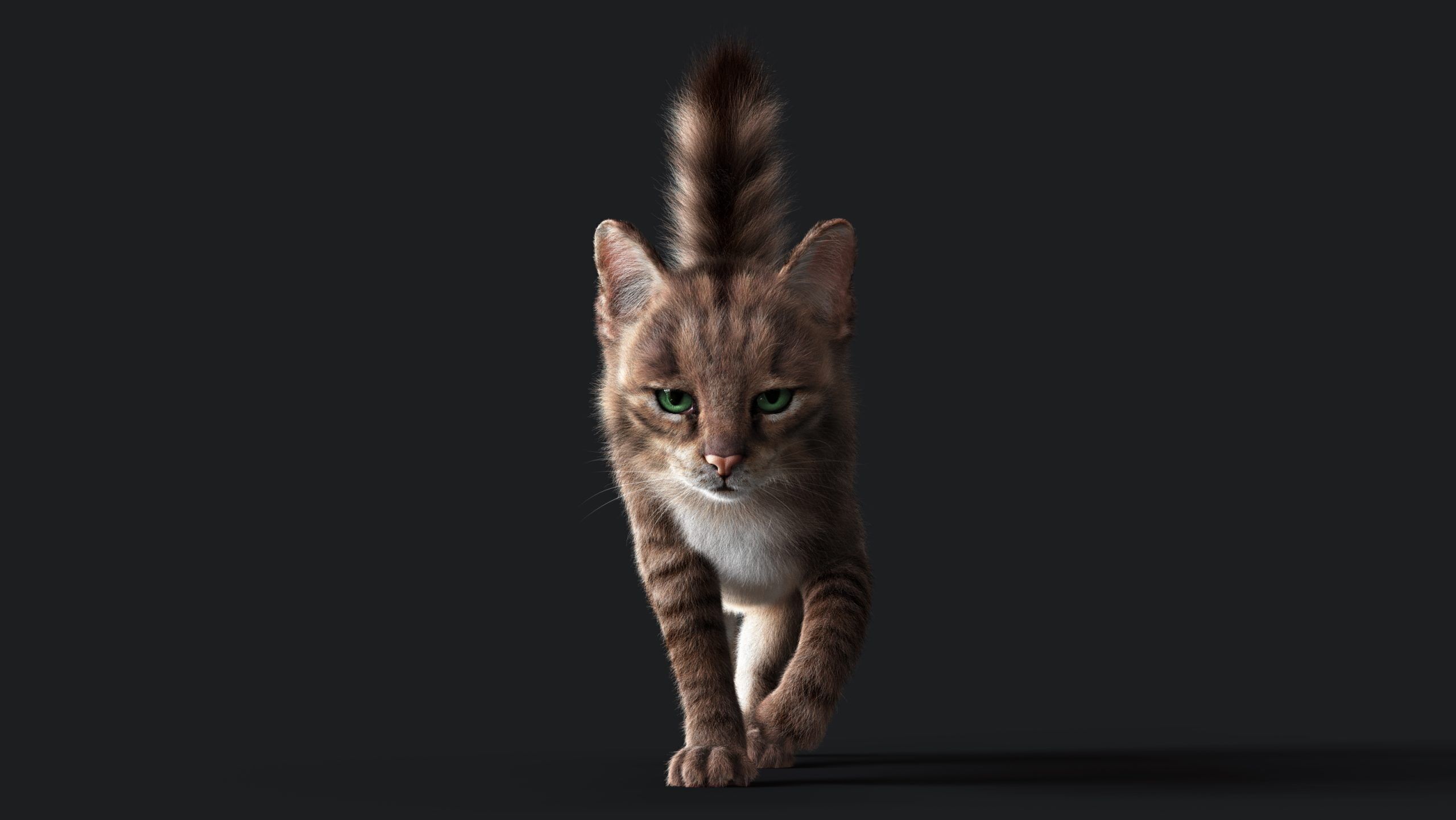 Cat Grey Tabby RIG  YETI version 3D model_3