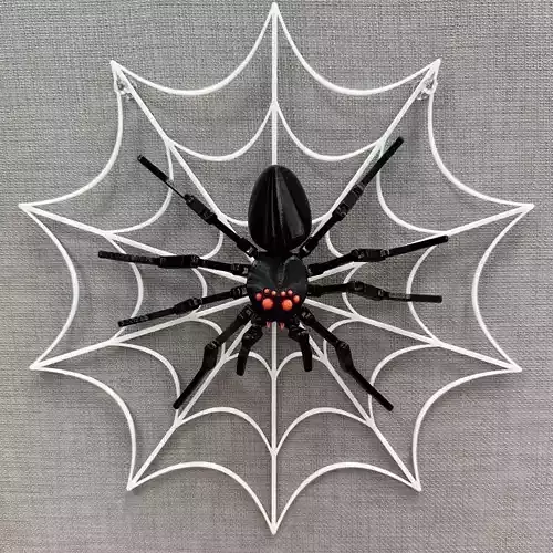 Articulated Spider With Web  