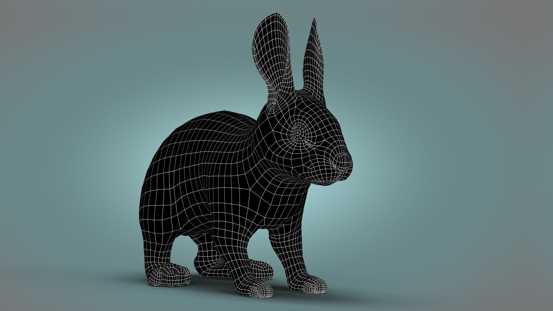Rabbit Spotted ANIMATED XGEN CORE 3D model_10