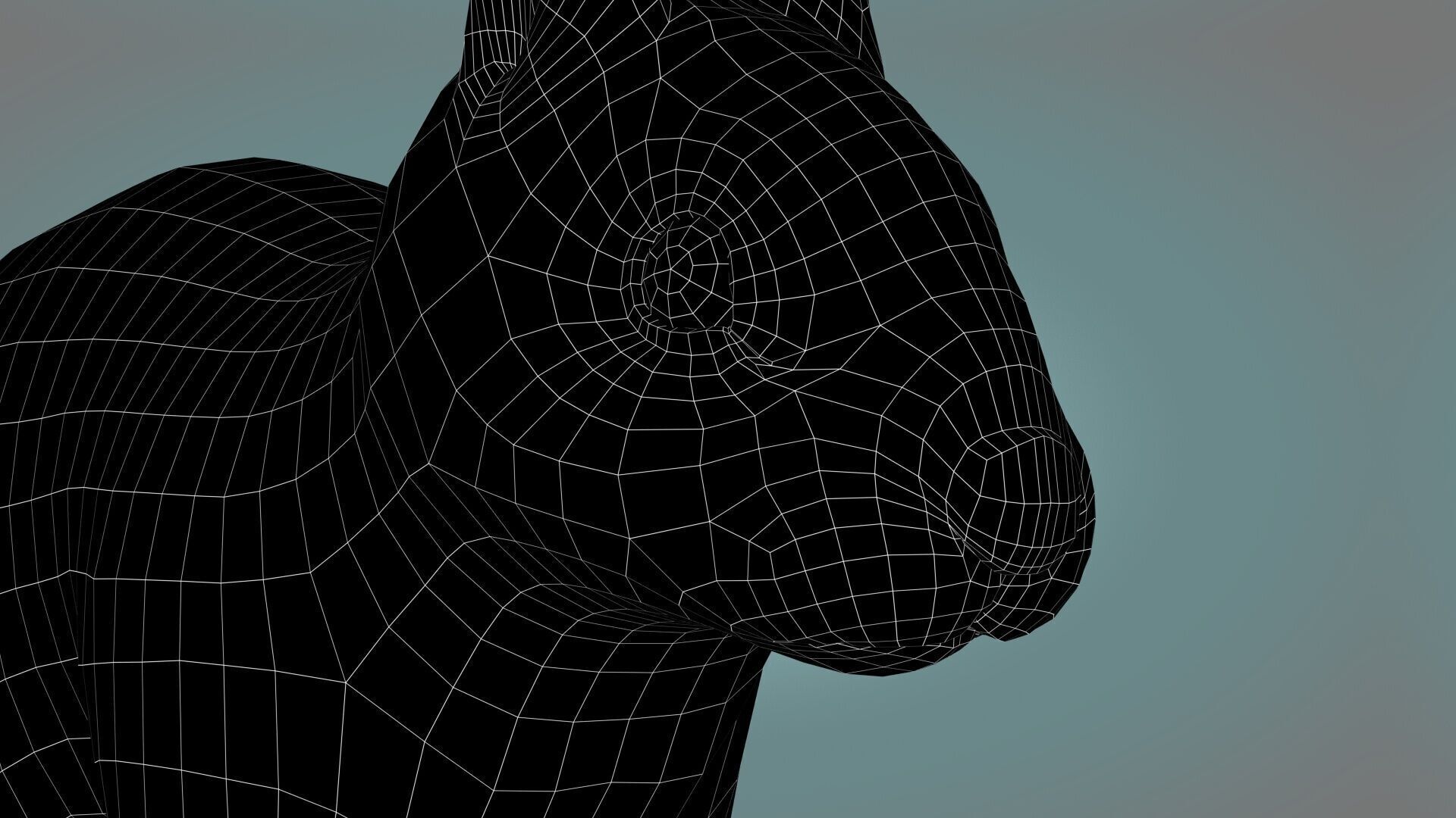 Rabbit Spotted ANIMATED XGEN CORE 3D model_12