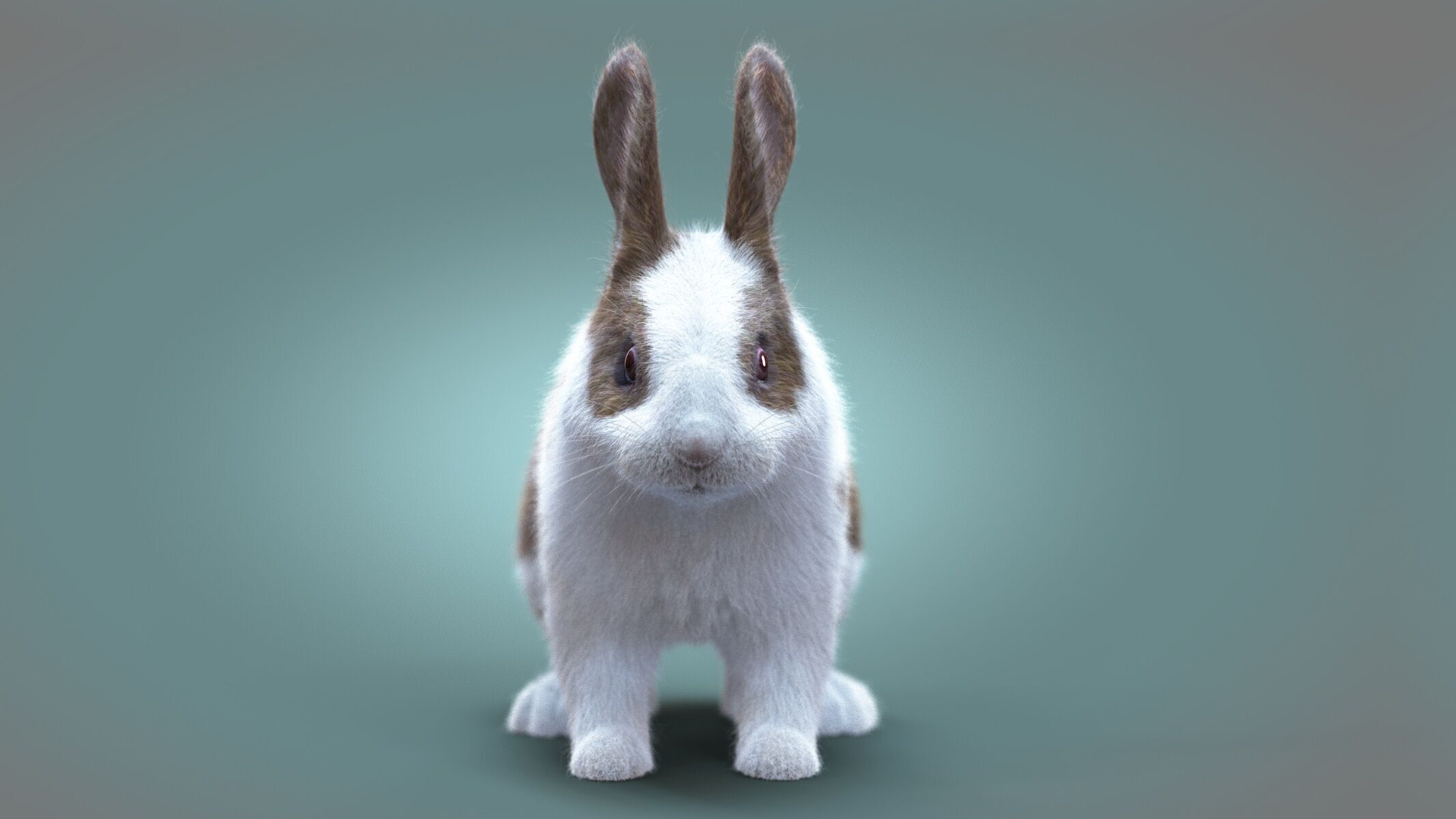 Rabbit Spotted ANIMATED XGEN CORE 3D model_2