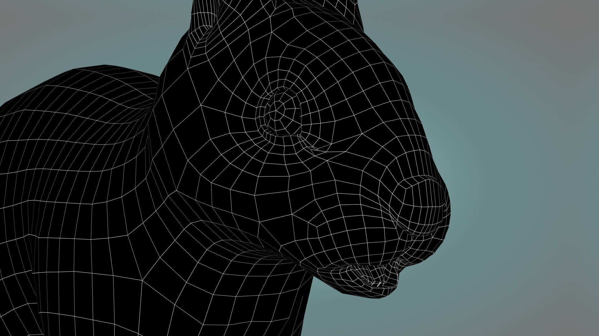 Rabbit Spotted ANIMATED XGEN CORE 3D model_13