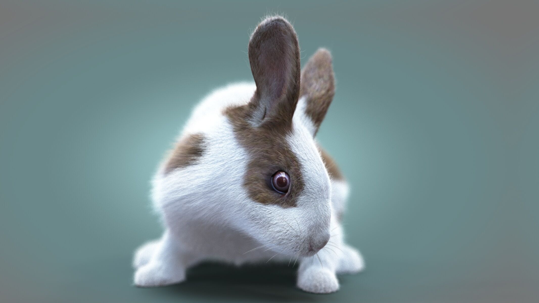 Rabbit Spotted ANIMATED XGEN CORE 3D model_5