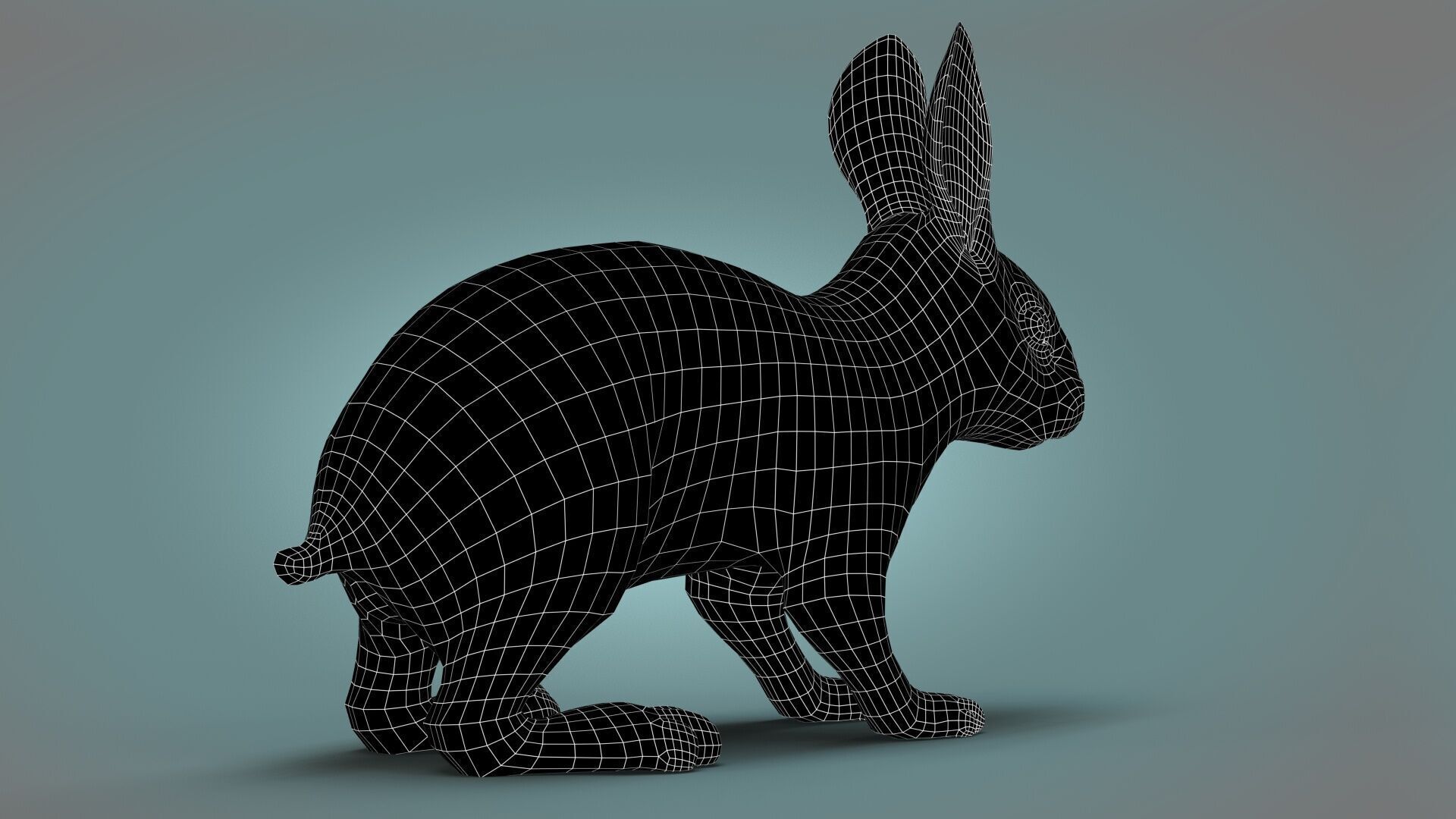 Rabbit Spotted ANIMATED XGEN CORE 3D model_11