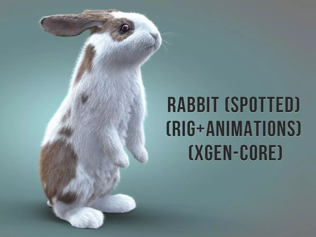 Rabbit Spotted ANIMATED XGEN CORE 3D model_0
