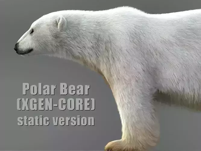 Polar Bear XGEN CORE
