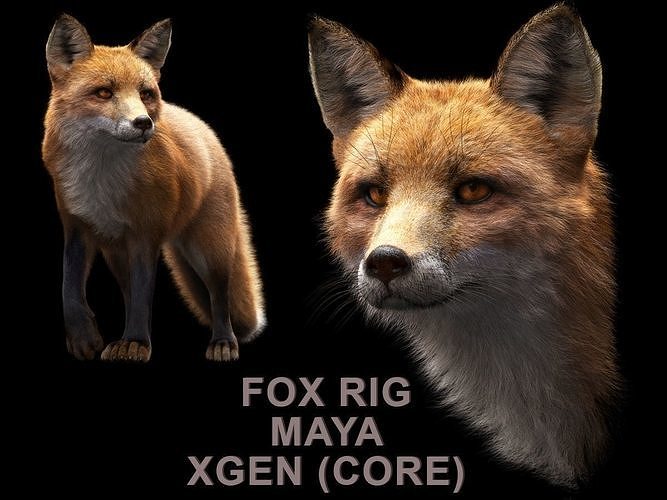FOX RIG XGEN CORE 3D model