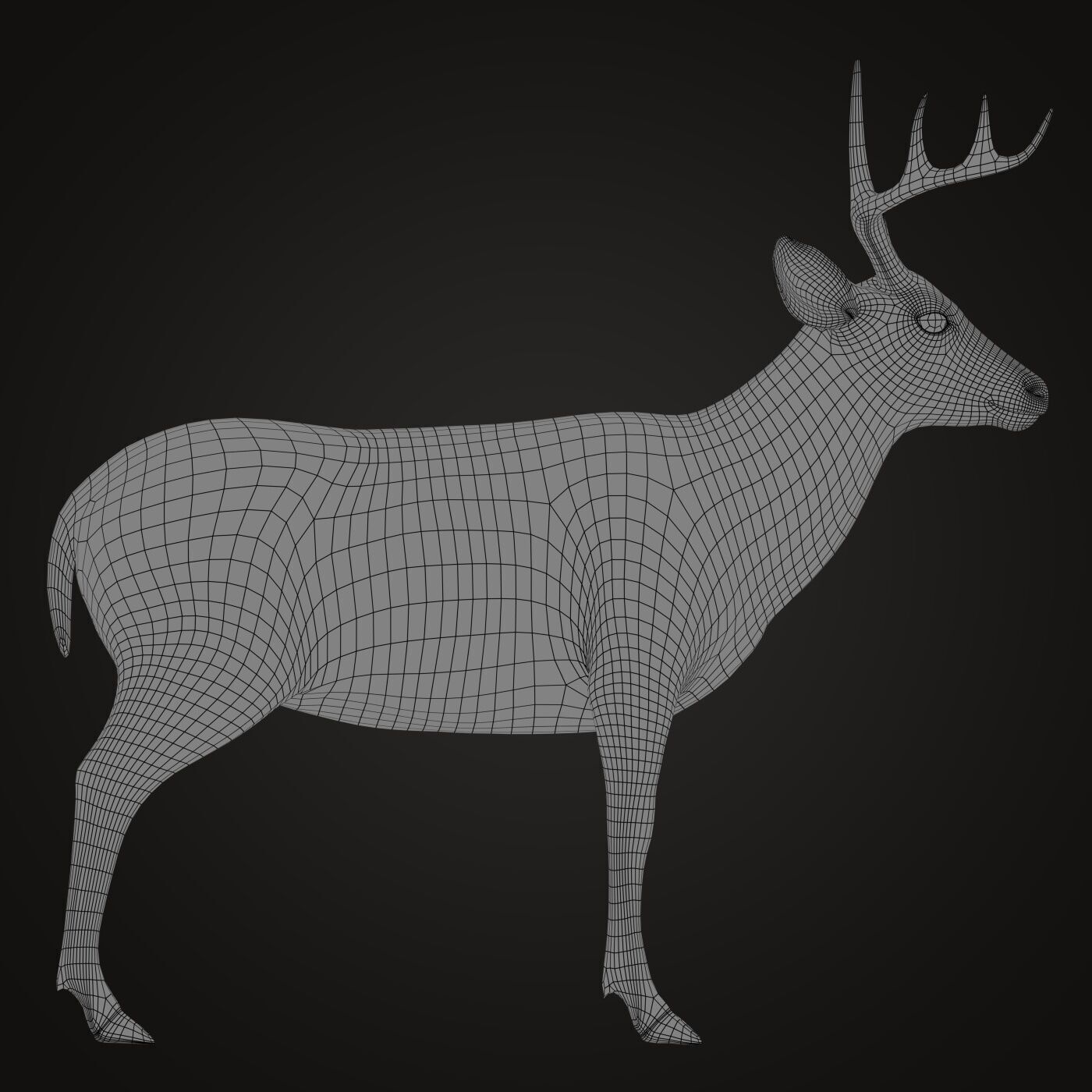 Deer 2 RIG XGEN CORE 3D model_11