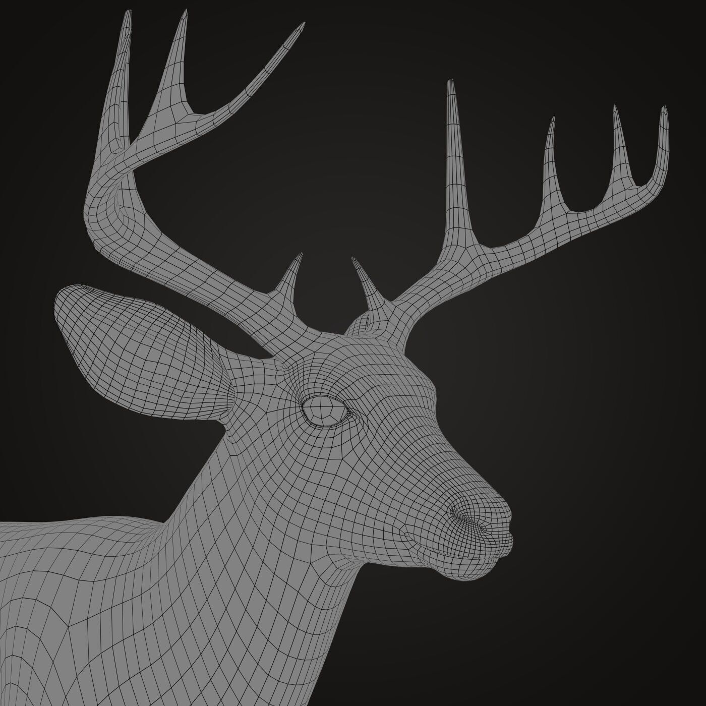 Deer 2 RIG XGEN CORE 3D model_13