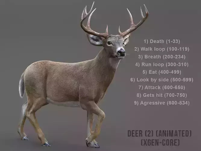 Deer 2 ANIMATED XGEN CORE