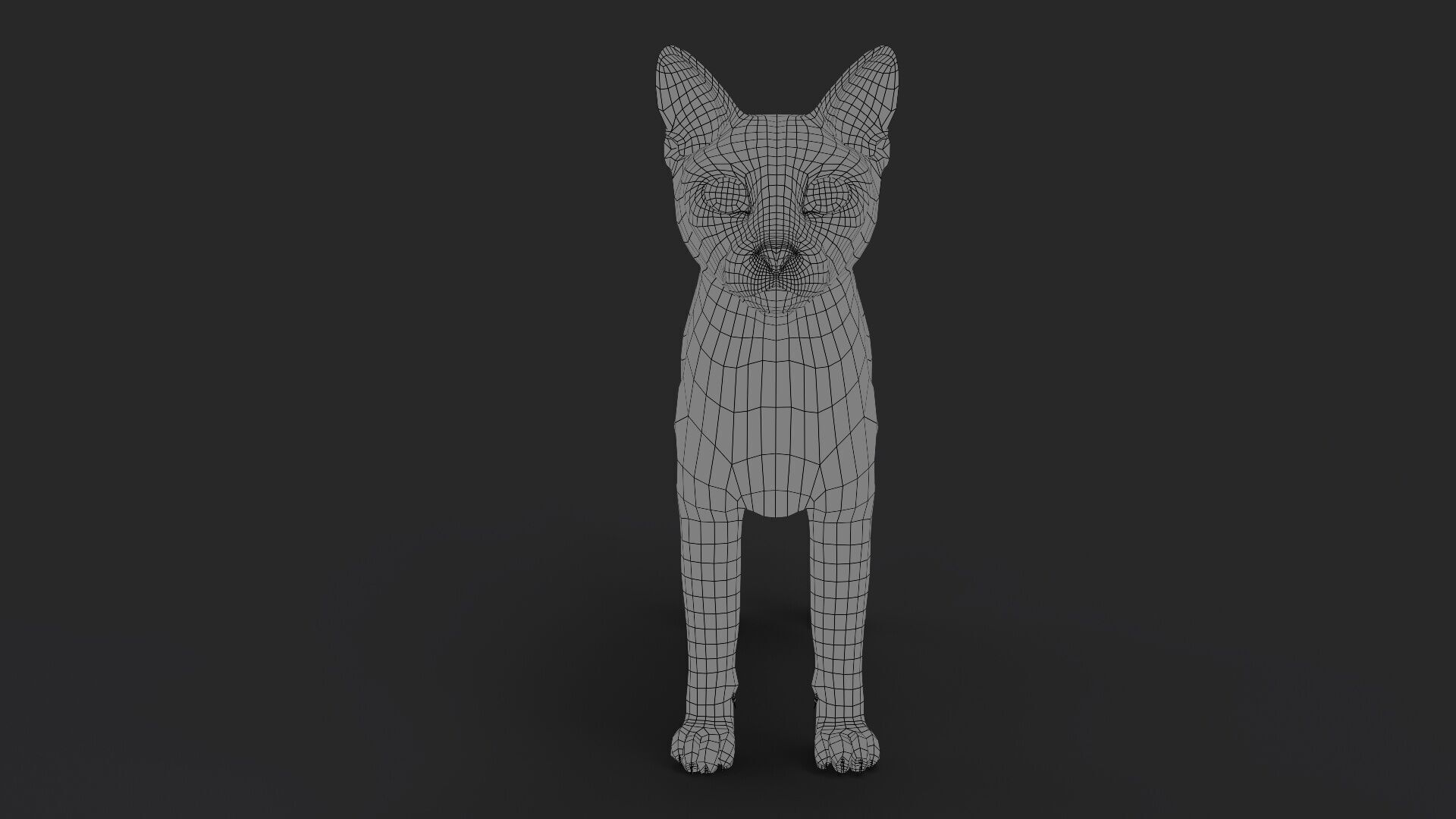 Black Cat RIG Xgen core 3D model_10