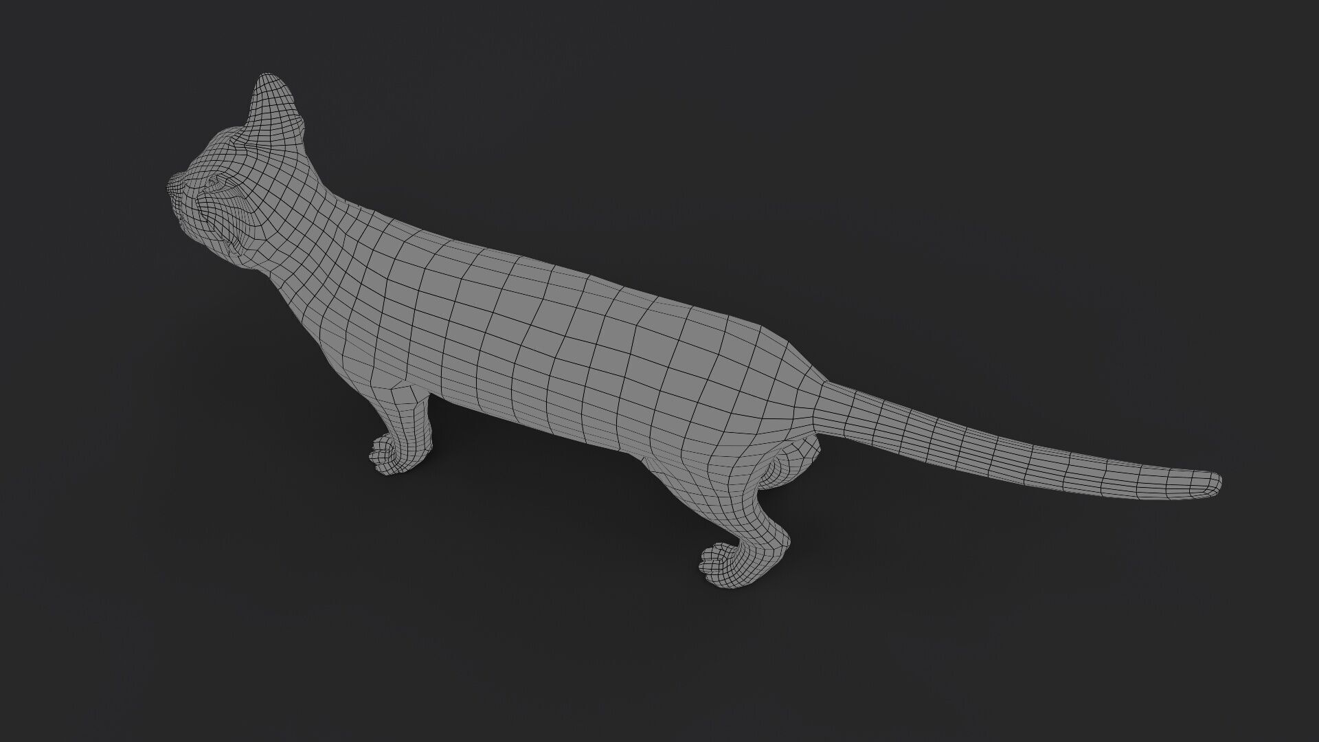 Black Cat RIG Xgen core 3D model_13