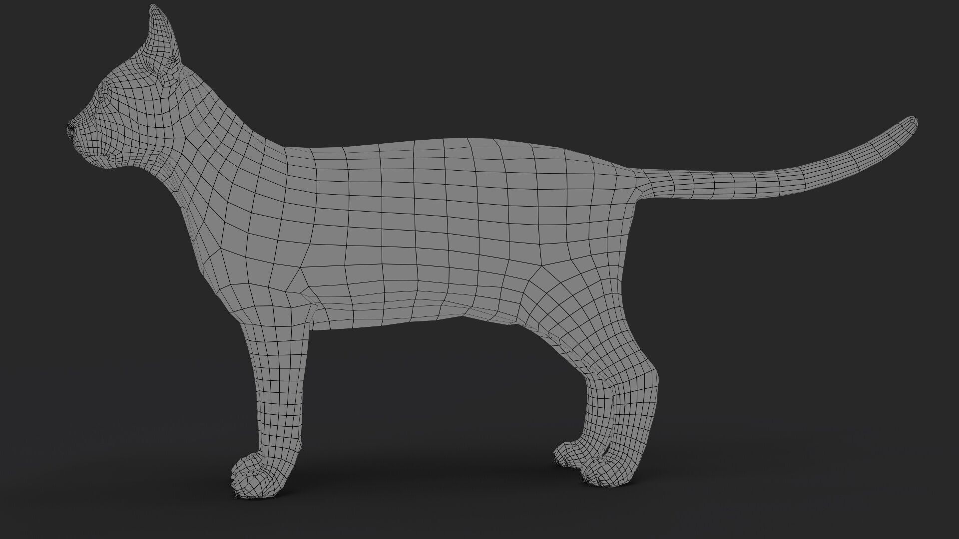 Black Cat RIG Xgen core 3D model_11