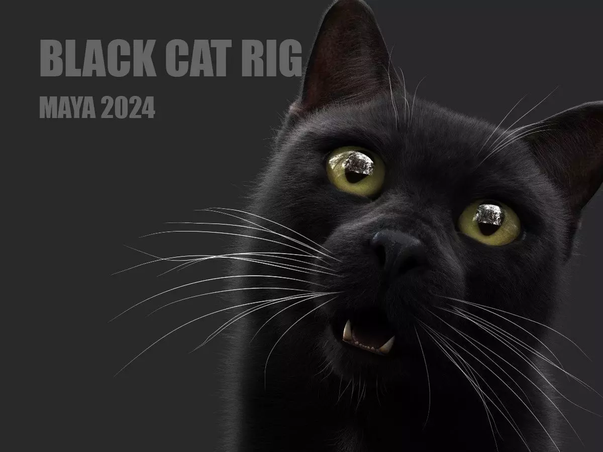 Black Cat RIG Xgen core 3D model_0