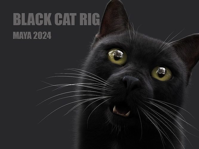 Black Cat RIG Xgen core 3D model