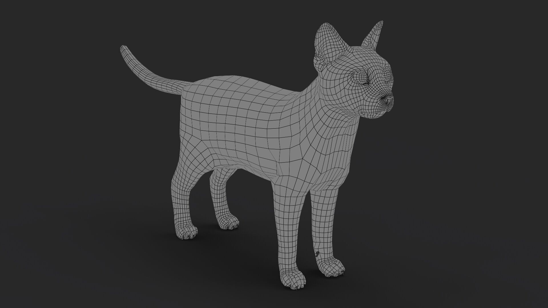 Black Cat RIG Xgen core 3D model_9