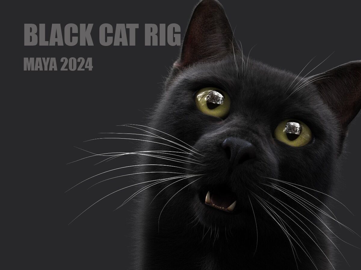 Black Cat RIG Xgen core 3D model_1