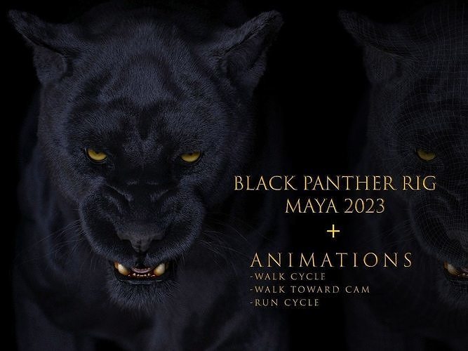 Black Panther ANIMATED Xgen core 3D model