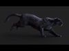 Black Panther ANIMATED Xgen core 3D model_1
