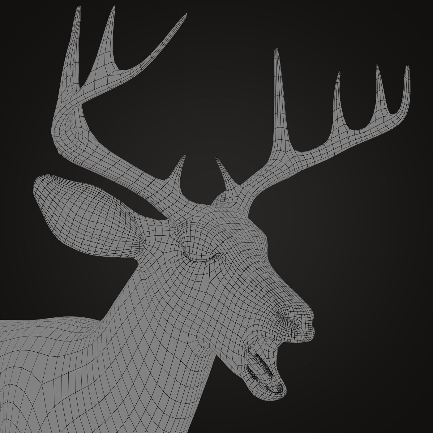 Deer ANIMATED XGEN CORE 3D model_15